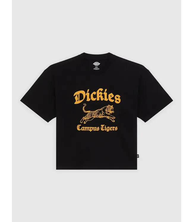 DICKIES Apalachicolsa Ss Tee - Black
