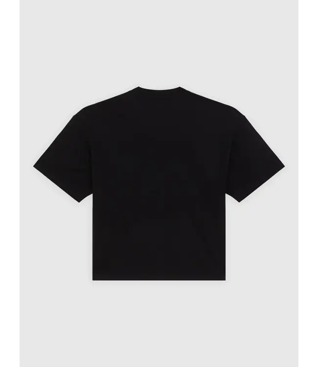 DICKIES Apalachicolsa Ss Tee - Black