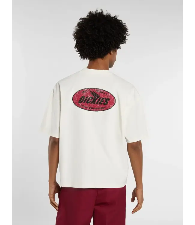 DICKIES Shonto Ss Tee - Egret