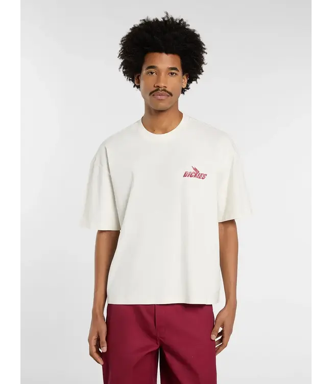DICKIES Shonto Ss Tee - Egret