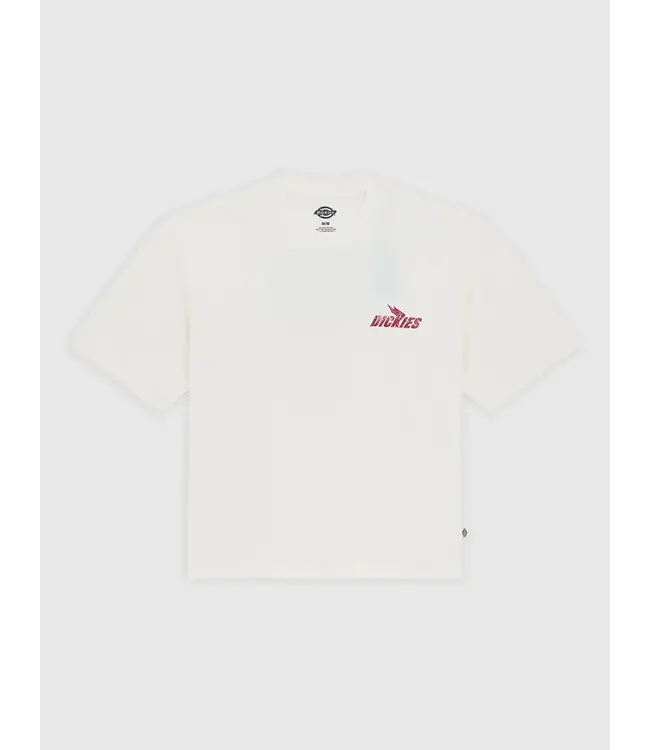 DICKIES Shonto Ss Tee - Egret