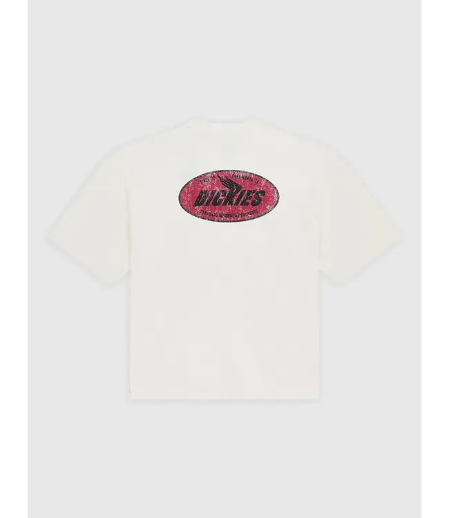 DICKIES Shonto Ss Tee - Egret