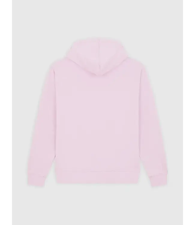 DICKIES Sutcliffe Hoodie - Fragrant Lilac