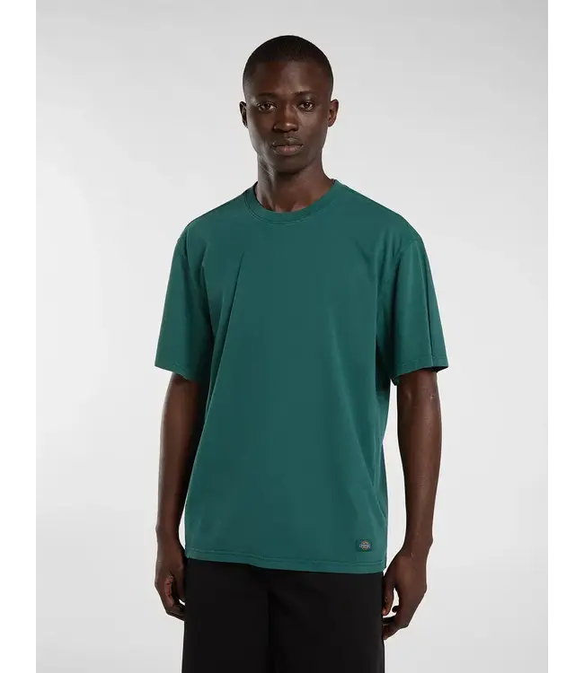 DICKIES Sutcliffe Ss Tee - Dark Green