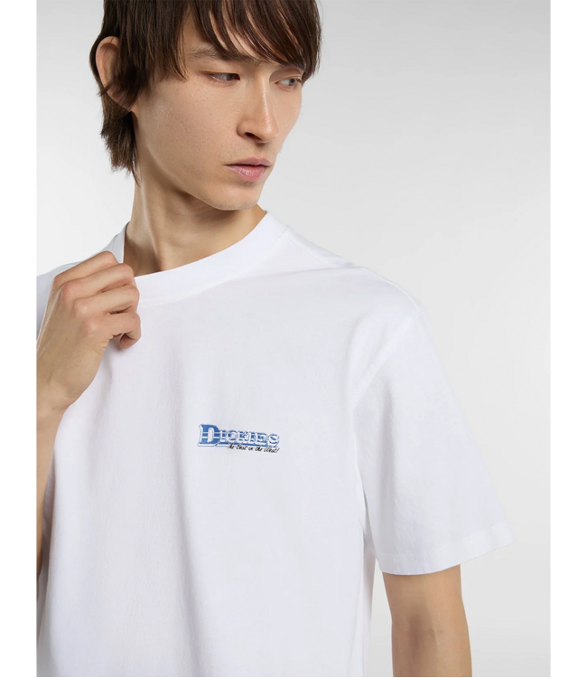 DICKIES Gainesville Ss Tee - White