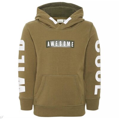 Name It Trui Nathan (burnt olive)  - Mini Boys NIAW18BOYOVERIGMB