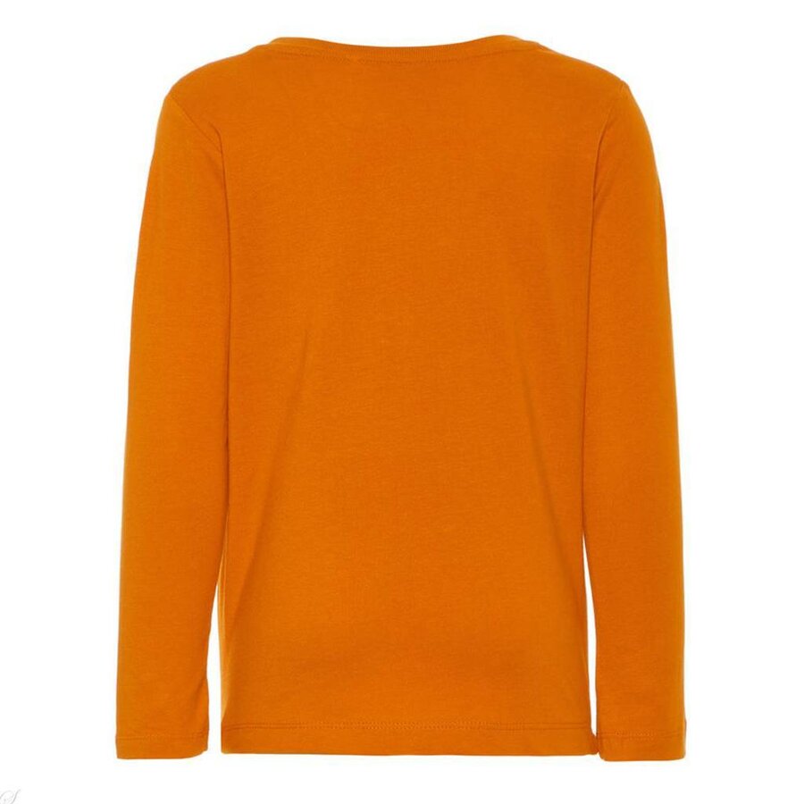 Name It Longsleeve Naryan (autumn maple)  | Name it