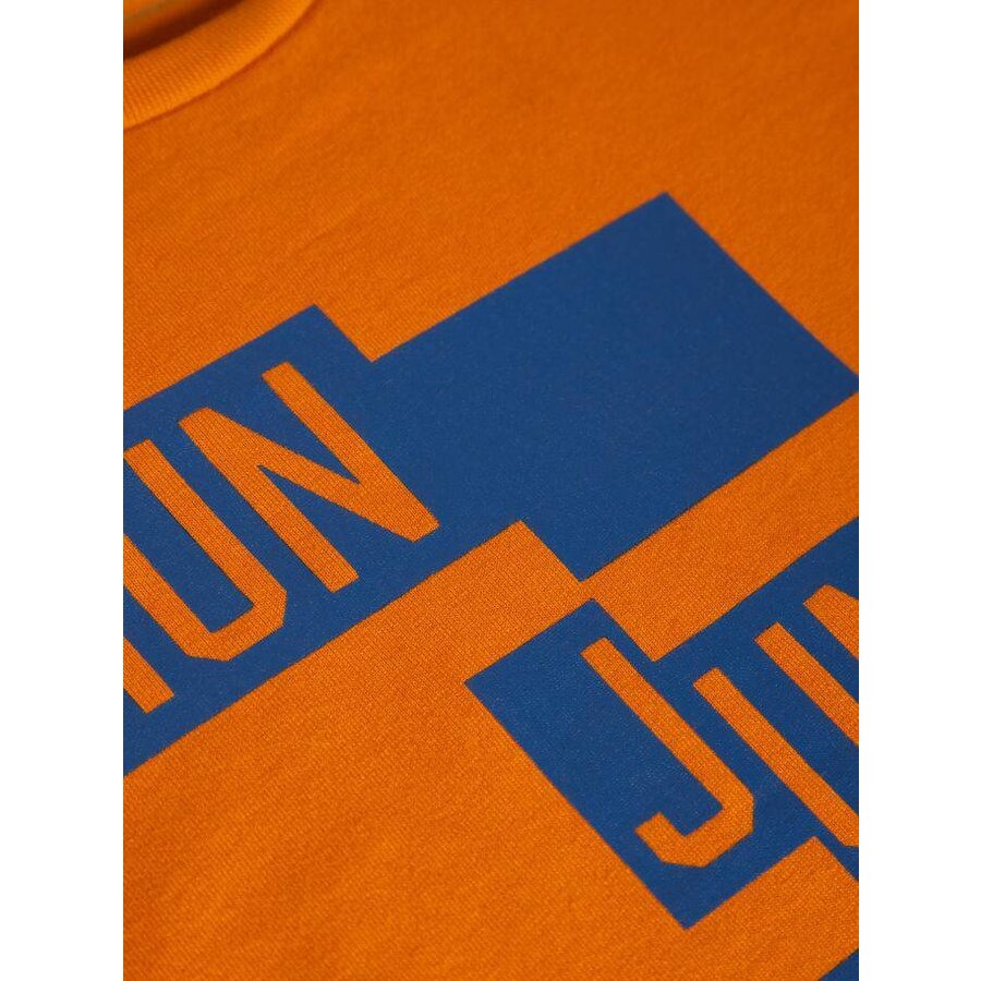 Name It Longsleeve Naryan (autumn maple)  | Name it