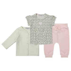 Dirkje Baby setje 2-delig All the Best (mint/grey/light pink)