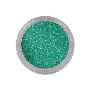 Shiny Dust Glitter 149