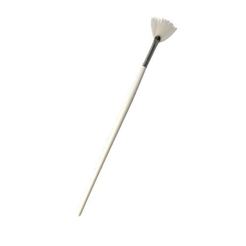 Fan Brush