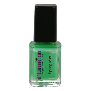 Stamping Nailpolish Spring Mint