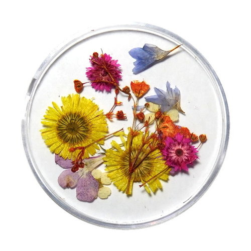Dried Flowers Mix 3D Sunflower