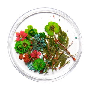 Droogbloemen Mix 3D Forest Vibes DB-003