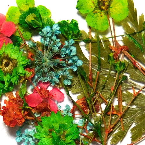 Dried Flowers Mix 3D Forest Vibes