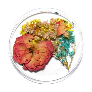 Droogbloemen Mix 3D Happy Summer DB-004