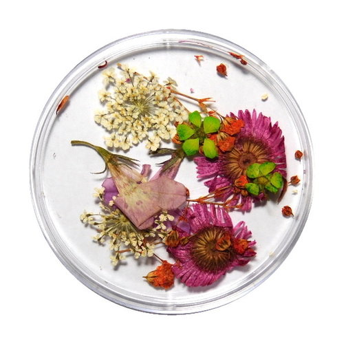 Dried Flowers Mix 3D Sweet Meadow