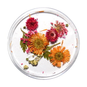 Droogbloemen Mix 3D Autumn DB-006