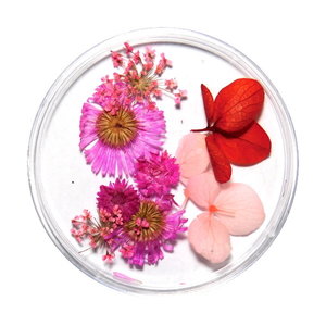 Droogbloemen Mix 3D Fields of Love DB-007