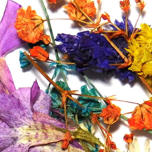 Dried Flowers Mix 3D Bouquet of Color