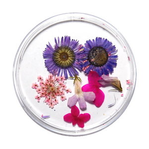 Droogbloemen Mix 3D Cosy Winter DB-010