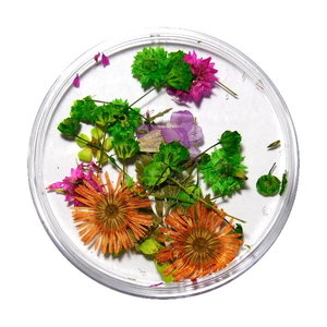 Droogbloemen Mix 3D Mountainside DB-011