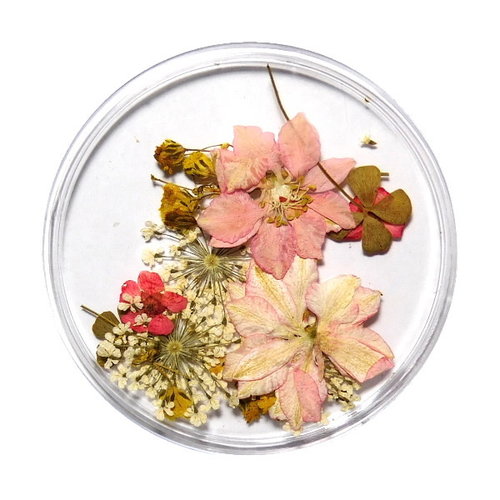 Dried Flowers Mix 3D Bright Spring