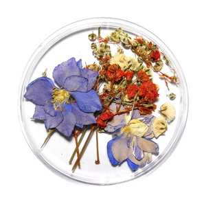 Droogbloemen Mix 3D Sprinkle of White DB-013