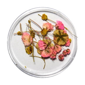 Droogbloemen Mix 3D Tiny Florals