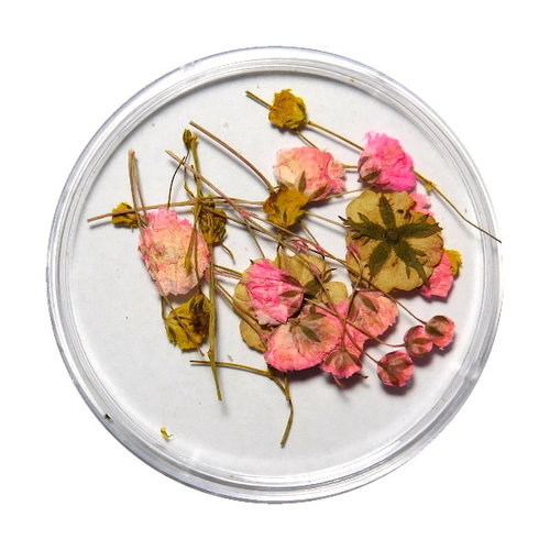 Dried Flowers Mix 3D Tiny Florals