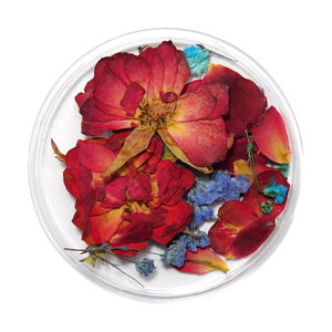 Droogbloemen Mix 3D Oceanside DB-017