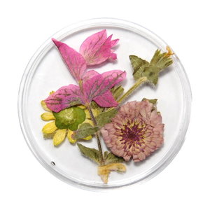 Droogbloemen Mix 3D Desert DB-018