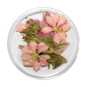 Droogbloemen Mix 3D Sunset DB-020