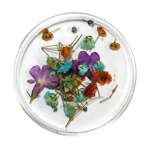 Droogbloemen Mix 3D Flowerbomb DB-021
