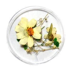 Droogbloemen Mix 3D Heaven's Garden DB-022