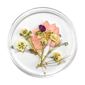 Dried Flowers Mix 3D Pretty In Pastel