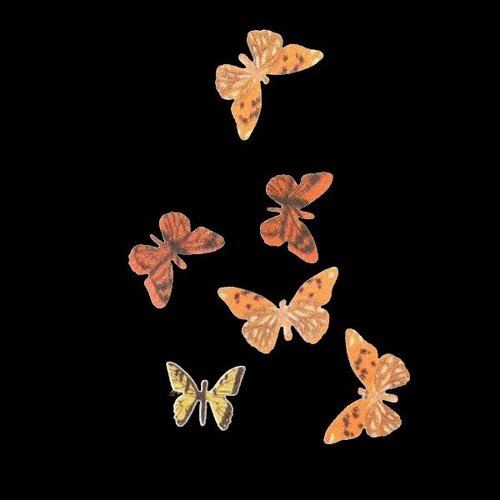 3D Butterfly Inlay Orange