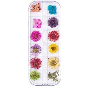 Dried Flowers Set Flower Fun