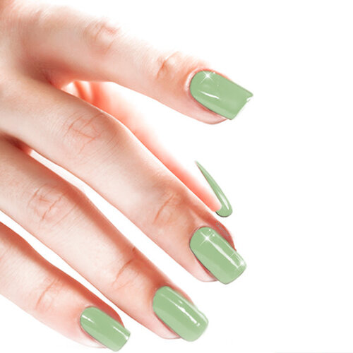Gel On Seagrass