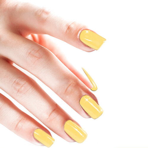 Gel On Sunlit Petal