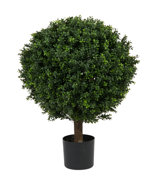 Greenmoods Buxus Kunstbal Op Stam Romeinse Stijl 85cm