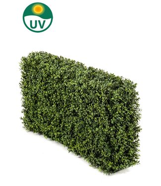 Greenmoods Kunst Buxushaag 100x20x50 cm UV