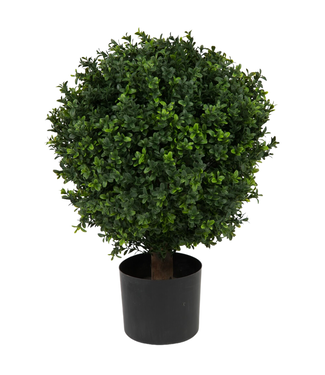 Greenmoods Buxus Kunstbal Op Stam Romeinse Stijl 65cm