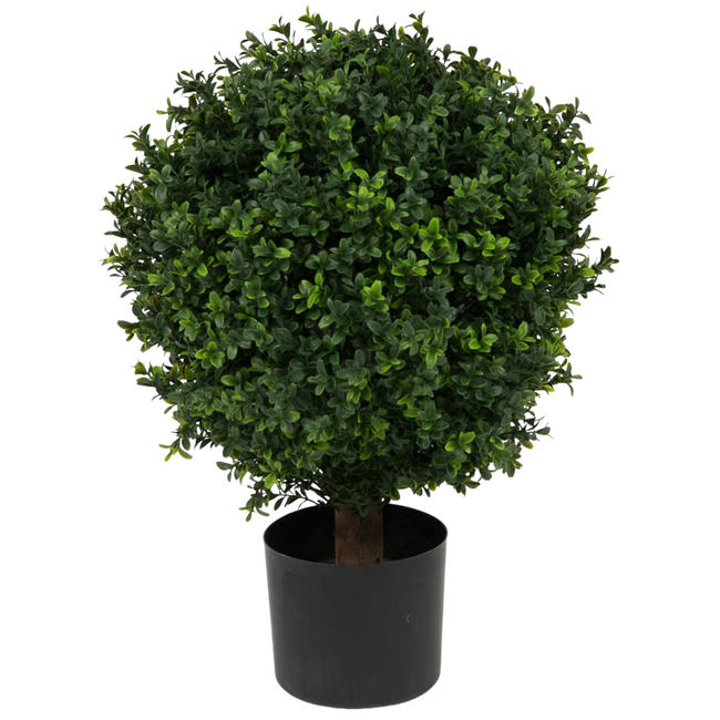 Greenmoods Buxus Kunstbal Op Stam Romeinse Stijl 65cm