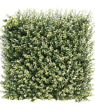 Greenmoods Kunsthaag Buxus beige 50x50 cm UV