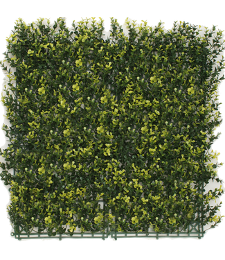 Greenmoods Kunsthaag Buxus geel 50x50 cm UV