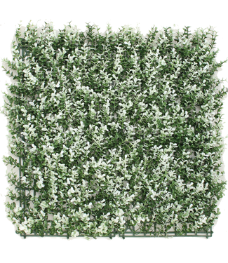 Greenmoods Kunsthaag Buxus wit 50x50 cm UV