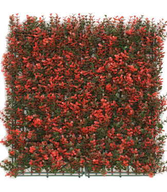 Greenmoods Kunsthaag Buxus rood 50x50 cm UV