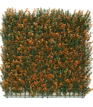 Greenmoods Kunsthaag Buxus oranje 50x50 cm UV