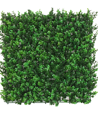 Greenmoods Kunsthaag Buxus groen 50x50 cm UV